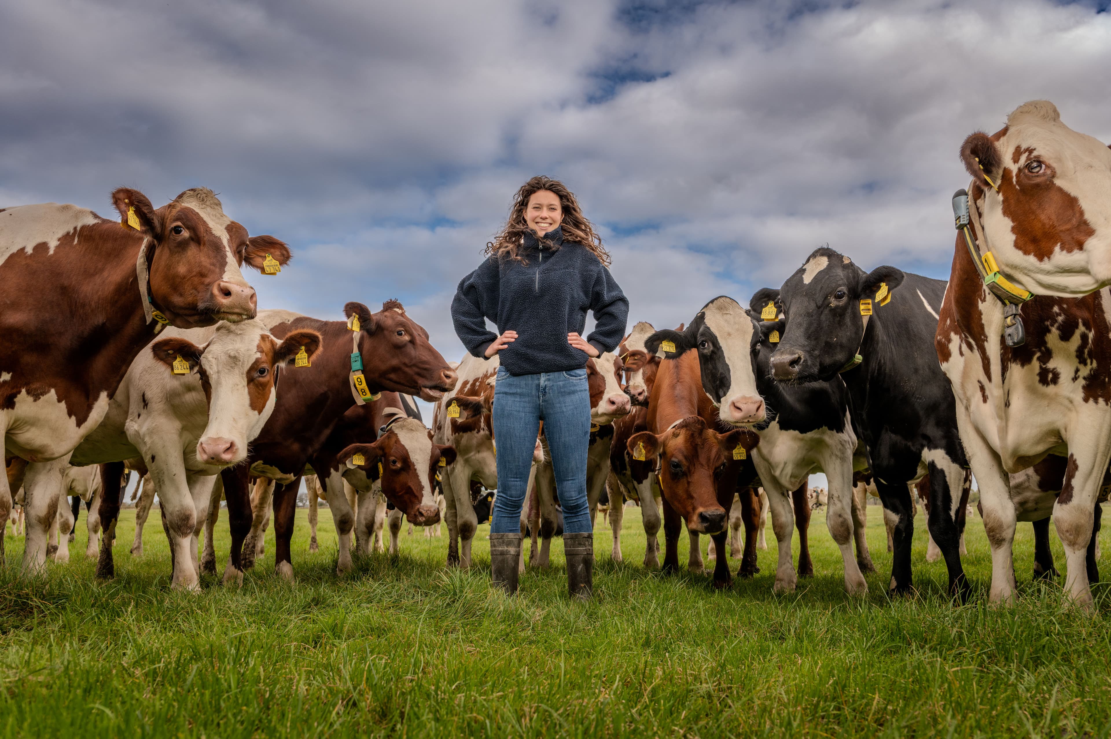 Boerin die kaasmaakt voor haar koeren.